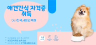 애견간식